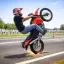 Extreme Bike Wheelie 3D