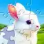 Jigsaw Puzzles