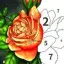 Art Color