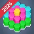 Hexa 3D Game: Dream Hex® Sort