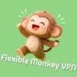 Flexible Monkey VPN