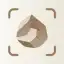 Rock Identifier