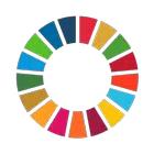 Samsung Global Goals