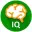 Brain Exercise Games - IQ test