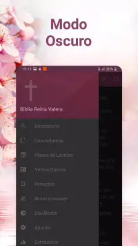 Holy Bible Reina Valera 1960 screenshot 7