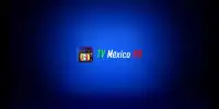 TV México HD screenshot 13