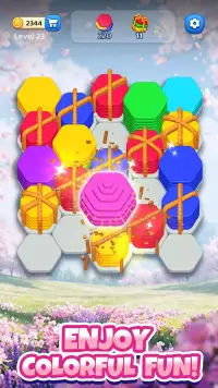 Hexa 3D Game: Dream Hex® Sort screenshot 20