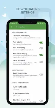 IDM screenshot 3