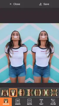 Photo Editor Collage Scrapbook Mirror Pip screenshot 9