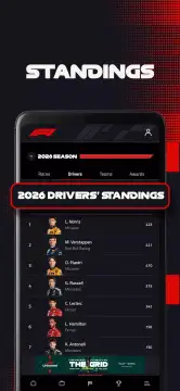 Formula 1® screenshot 10