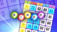 Bingo Billionaire screenshot 6