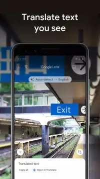 Google Lens screenshot 3
