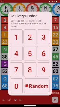 Bingo Caller screenshot 5