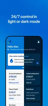 British Gas screenshot 7