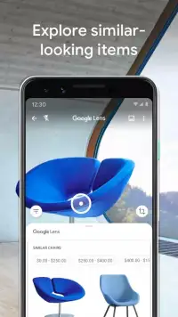 Google Lens screenshot 6