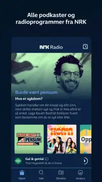 NRK Radio screenshot 1
