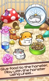 Hamster Life screenshot 2