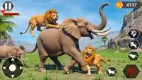 Lion Family Simulator Game screenshot 9