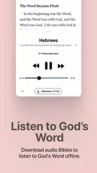 Holy Bible Offline NIV KJV App screenshot 3