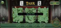 Dragons Tigers Court screenshot 5