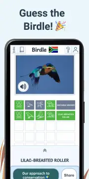 Birdle screenshot 5