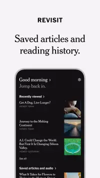 NYTimes screenshot 10