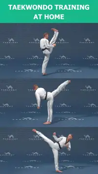 Mastering Taekwondo screenshot 13