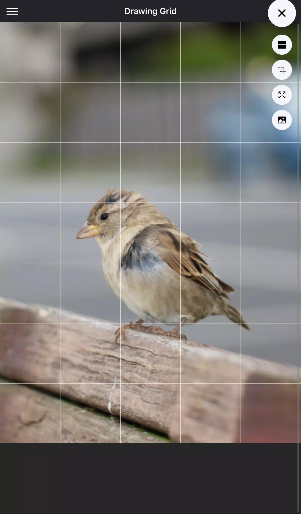Drawing Grid screenshot 8