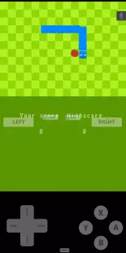 Fast DS Emulator For Android screenshot 6
