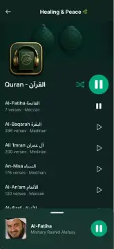 Quran Player Audio Offline screenshot 10