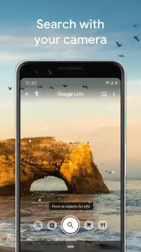 Google Lens screenshot 1