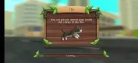 Cat Sim Online: Play with Cats screenshot 3