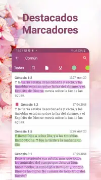 Holy Bible Reina Valera 1960 screenshot 6