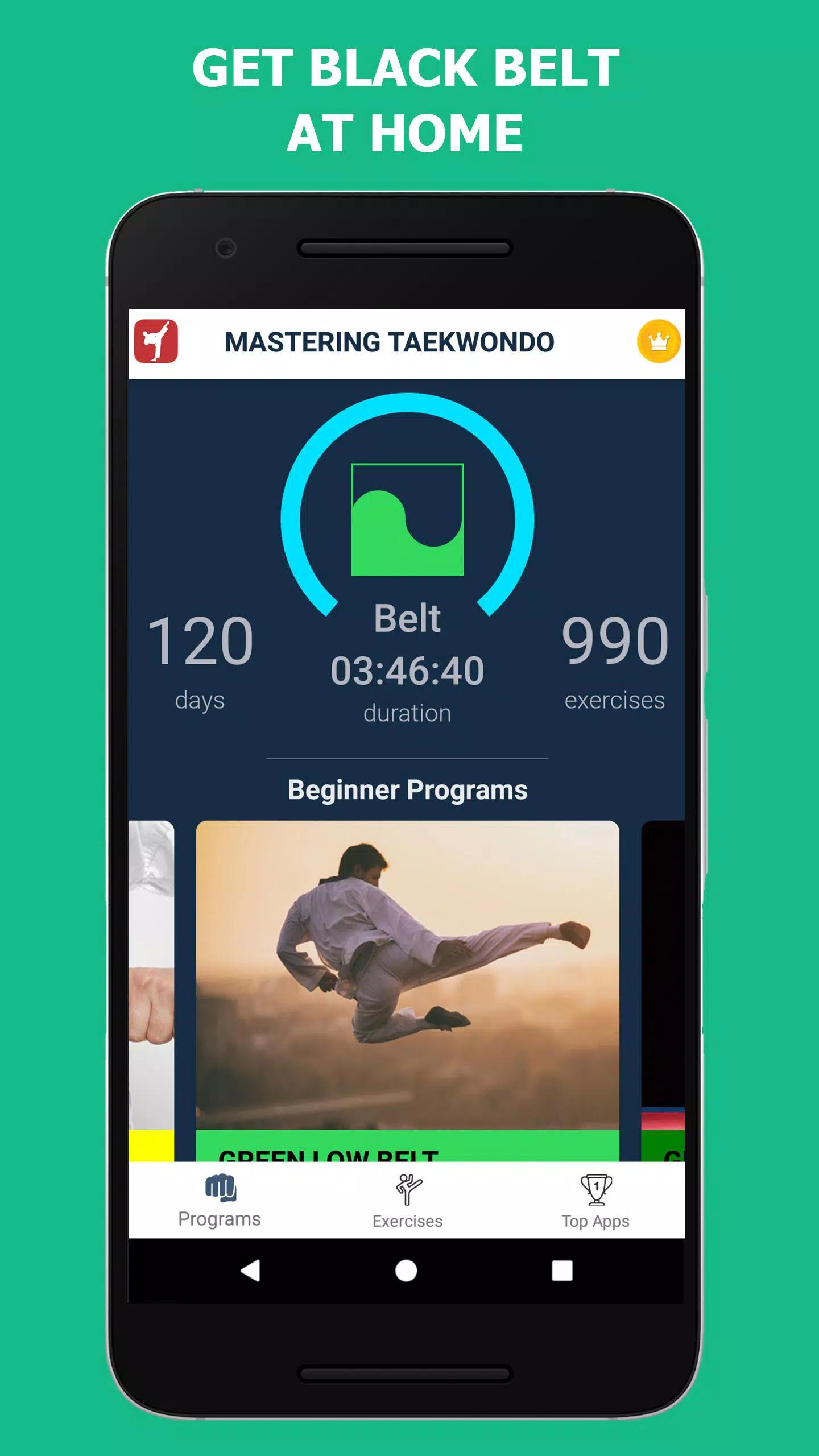 Mastering Taekwondo screenshot 15