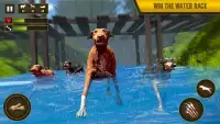 Pitbull Games: Fight Dogs Game screenshot 3