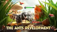 The Ants screenshot 1