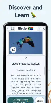 Birdle screenshot 6