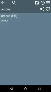 French Italian Dictionary screenshot 6
