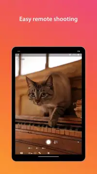 Canon Camera Connect screenshot 6