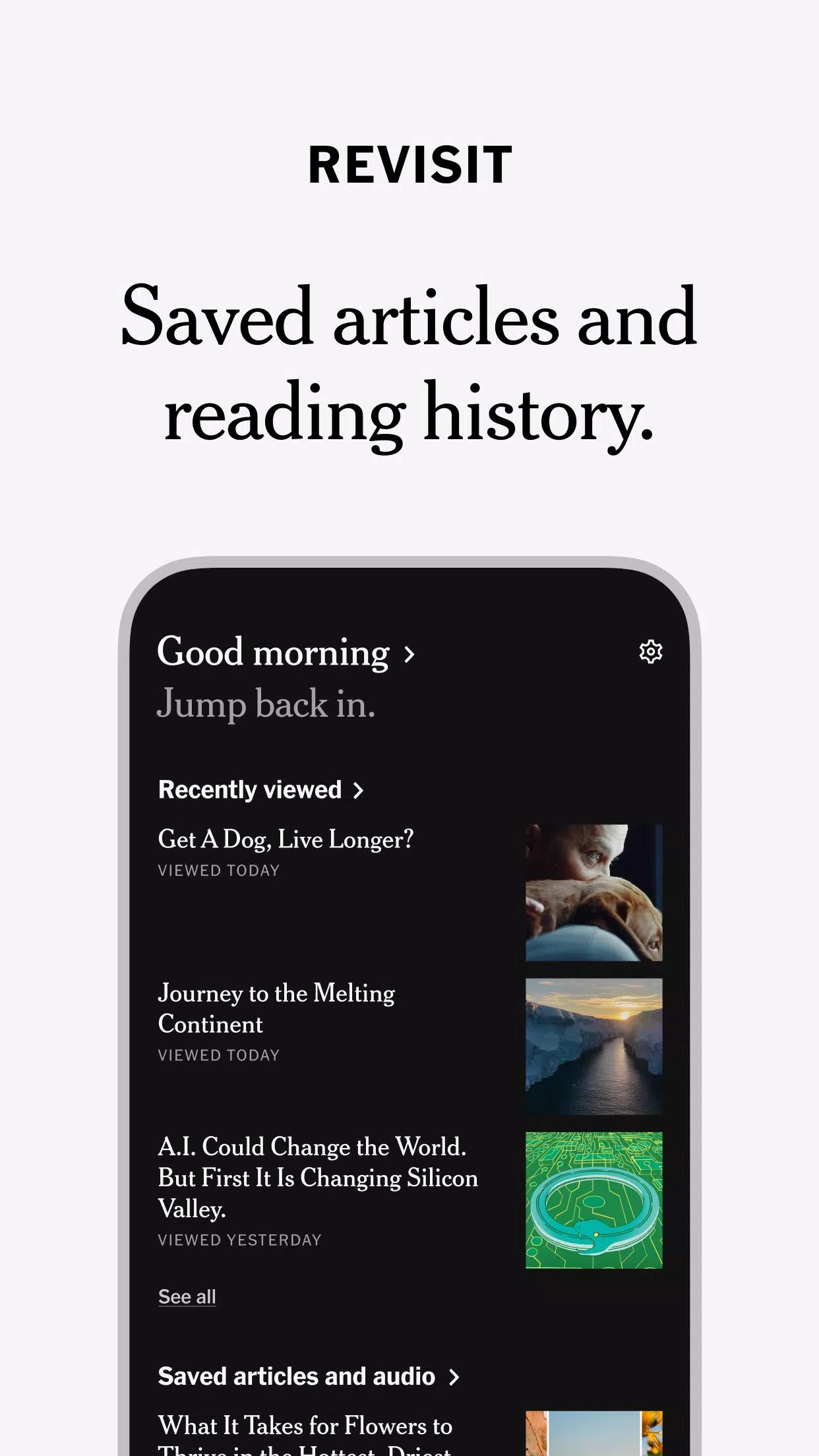 NYTimes screenshot 9