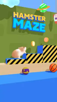 Hamster Maze screenshot 1