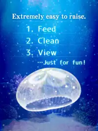 Jellyfish screenshot 7