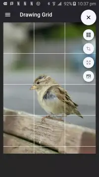 Drawing Grid screenshot 1
