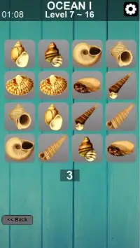 Memory Game Various Phases screenshot 5