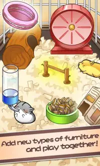 Hamster Life screenshot 6