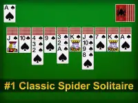 Spider screenshot 7