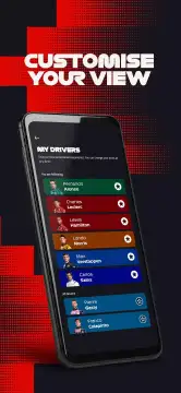 Formula 1® screenshot 8