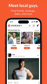 Hornet screenshot 8