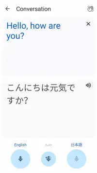 Google Translate screenshot 4