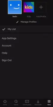Netflix screenshot 7